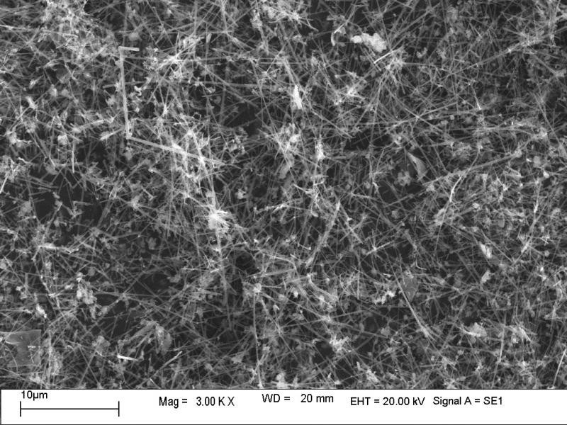 广州厂家供应纳米碳化硅粉末|碳化硅晶须